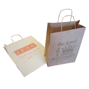 Large 16" x 12" Twist Paper Bags - Unprinted sample